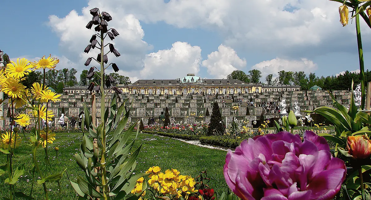 Schloss Sanssouci mit Terrassengarten und Blumen in Potsdam